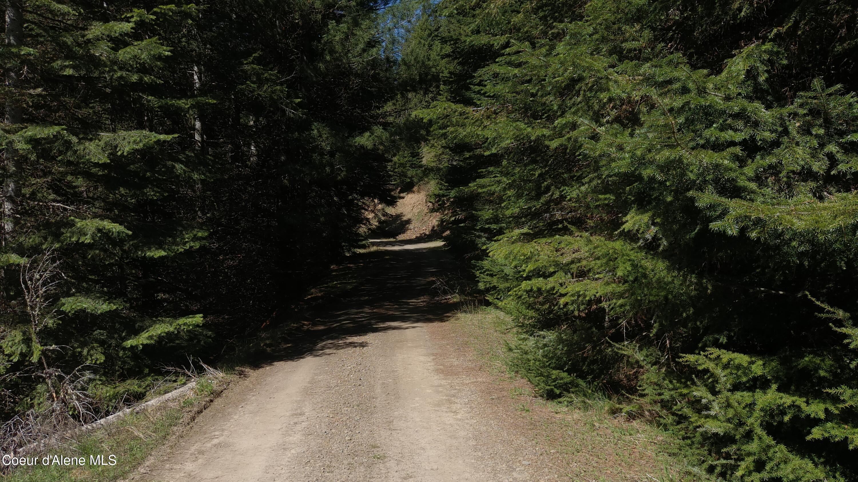 Carlin Creek Road, Unit 256 Harrison, ID 83833 - Photo 6 of 31 aMAX_0028
