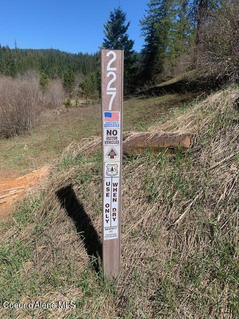 Carlin Creek Road, Unit 256 Harrison, ID 83833 - Photo 7 of 31 IMG_6711