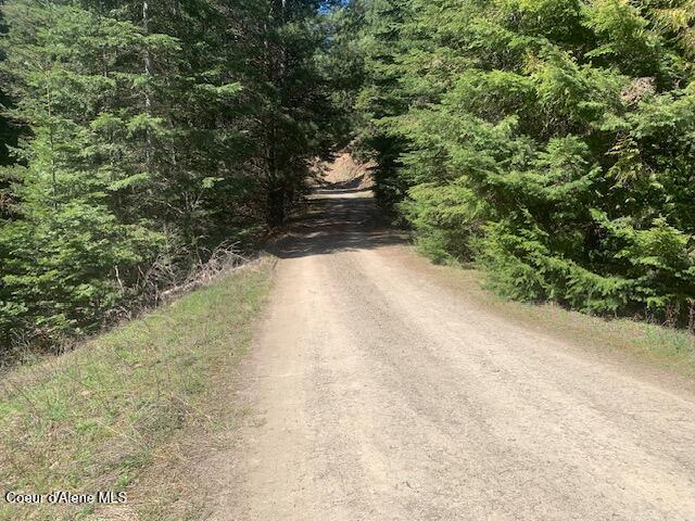 Carlin Creek Road, Unit 256 Harrison, ID 83833 - Photo 10 of 31 IMG_6714