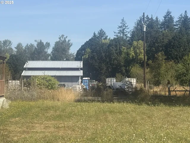 a view of backyard with green space