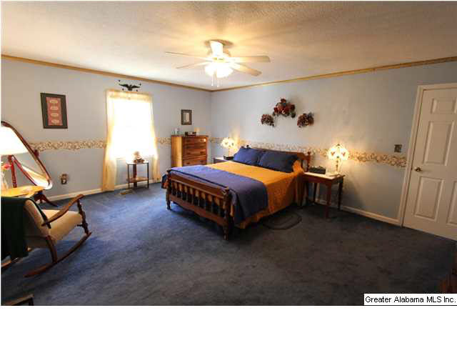 1019 County Road 233 Fruithurst, AL 36262 - Photo 7 of 32