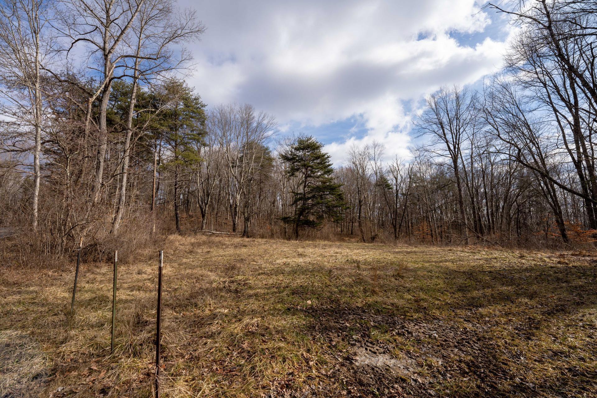 0 Ilesboro Road Logan, OH 43138 - Photo 4 of 19 Bolton edits-25