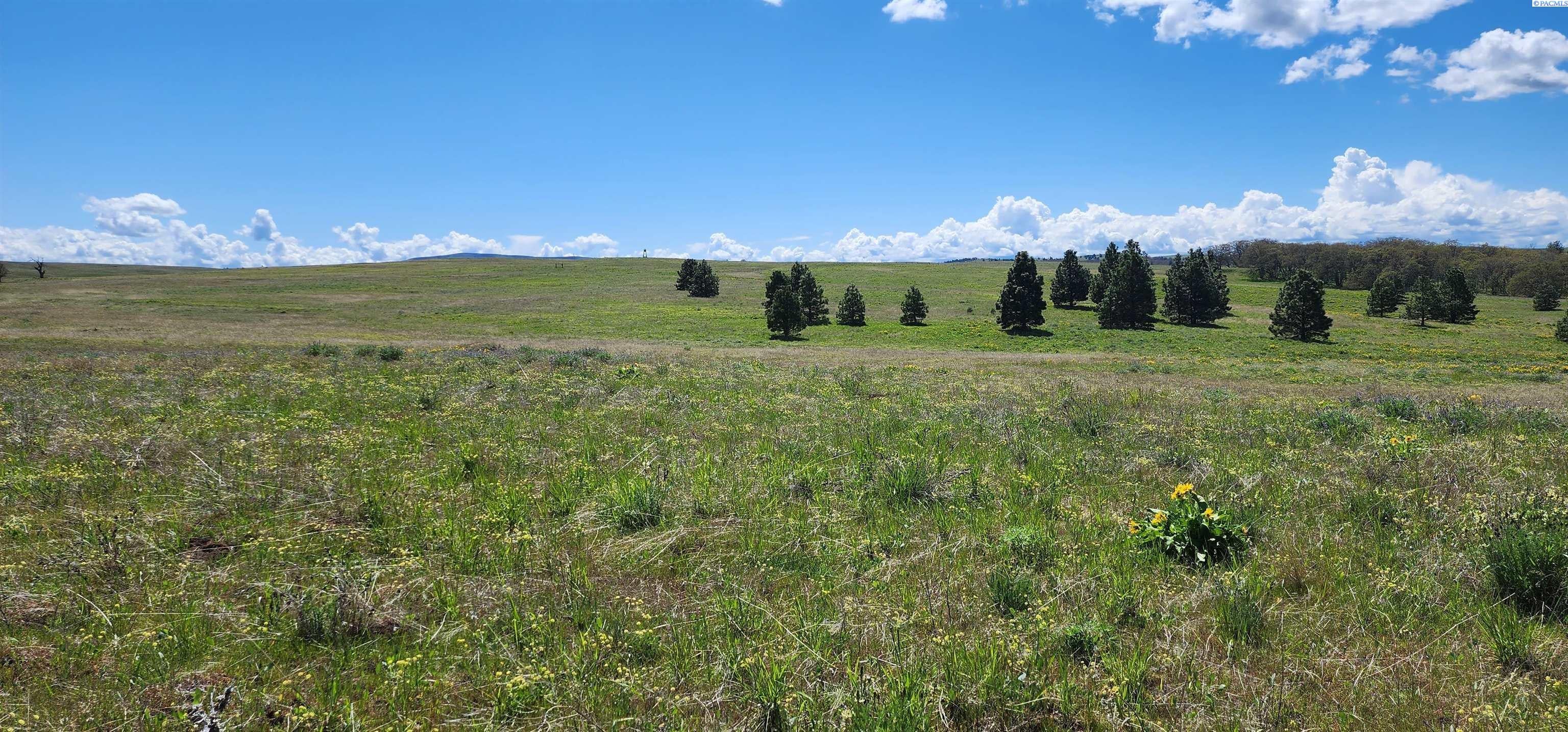 Lot 19 Schilling Road Lyle, WA 98635 - Photo 15 of 39 Gallery Image 15