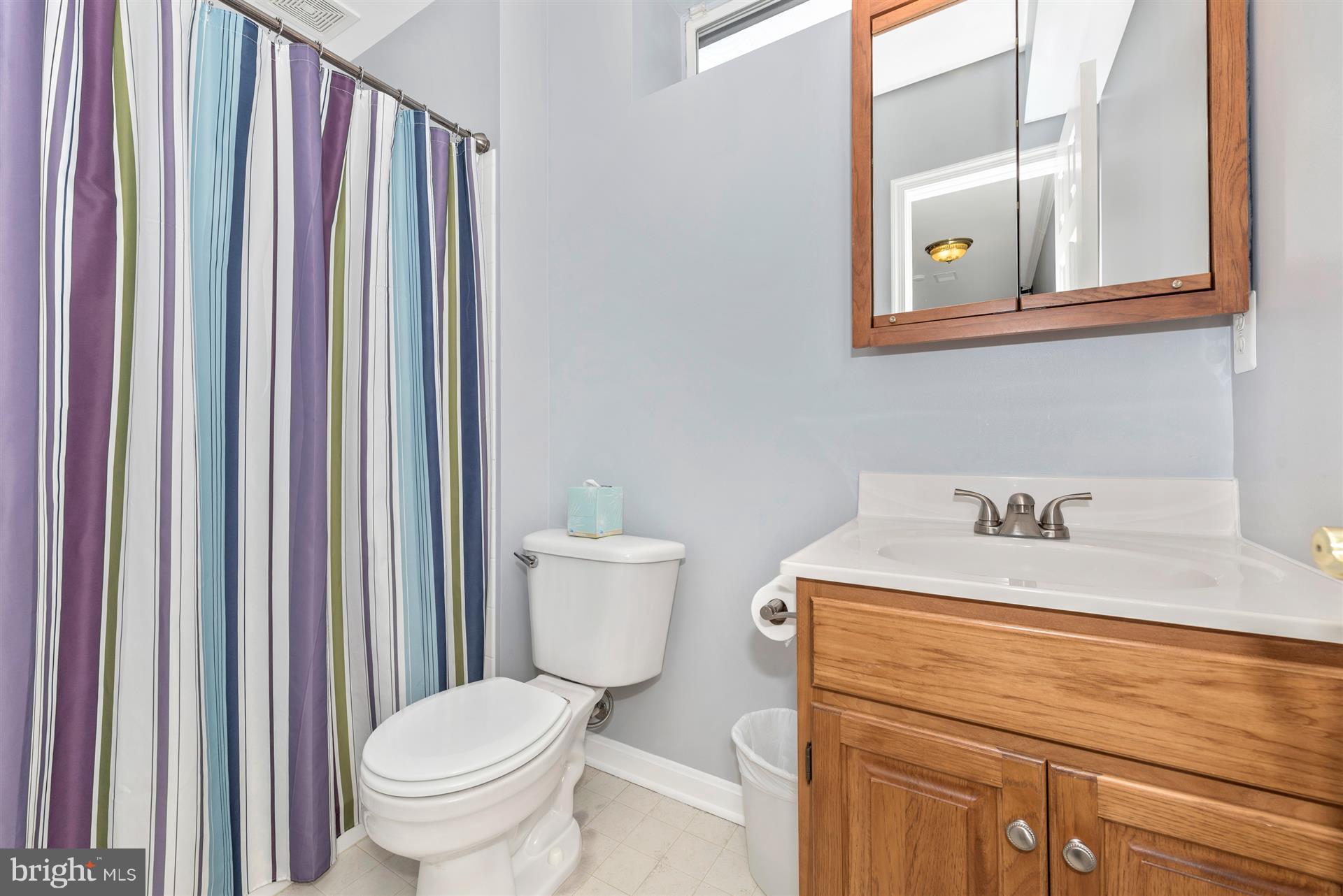 14758 Shirley Bohn Road Mount Airy, MD 21771 - Photo 25 of 30 Full Bath in Basement
