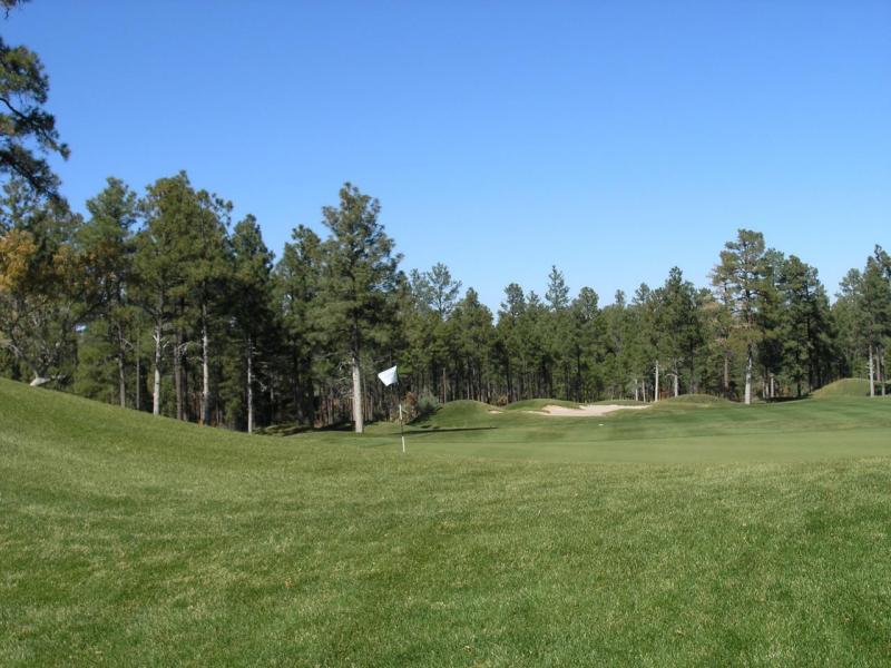 380 West Falling Leaf Road, Unit 41 Show Low, AZ 85901 - Photo 3 of 11 fairway view
