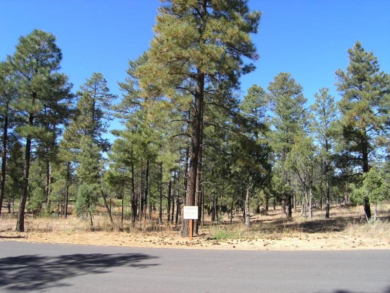 380 West Falling Leaf Road, Unit 41 Show Low, AZ 85901 - Photo 4 of 11 middle of property