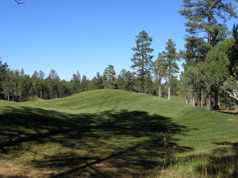 380 West Falling Leaf Road, Unit 41 Show Low, AZ 85901 - Photo 6 of 11 fairway view