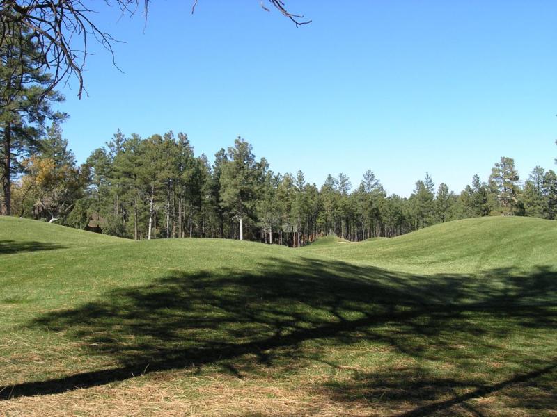 380 West Falling Leaf Road, Unit 41 Show Low, AZ 85901 - Photo 7 of 11 fairway view