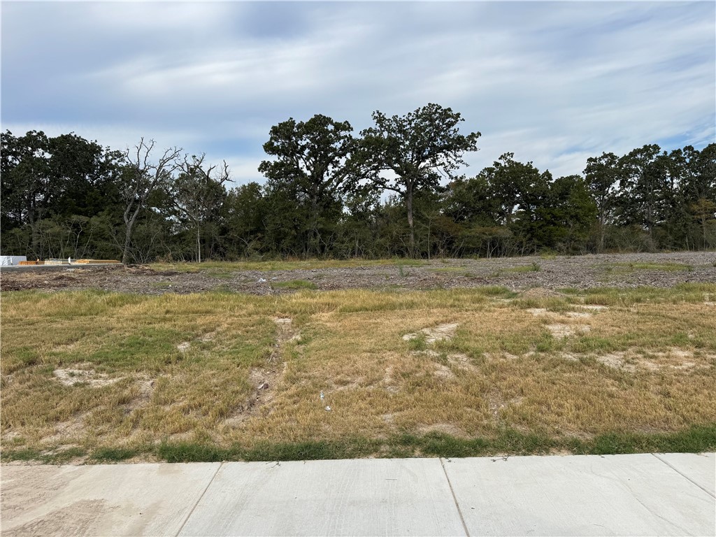 4027 Pacific Crest Way Bryan, TX 77802 - Photo 16 of 23 a view of a yard