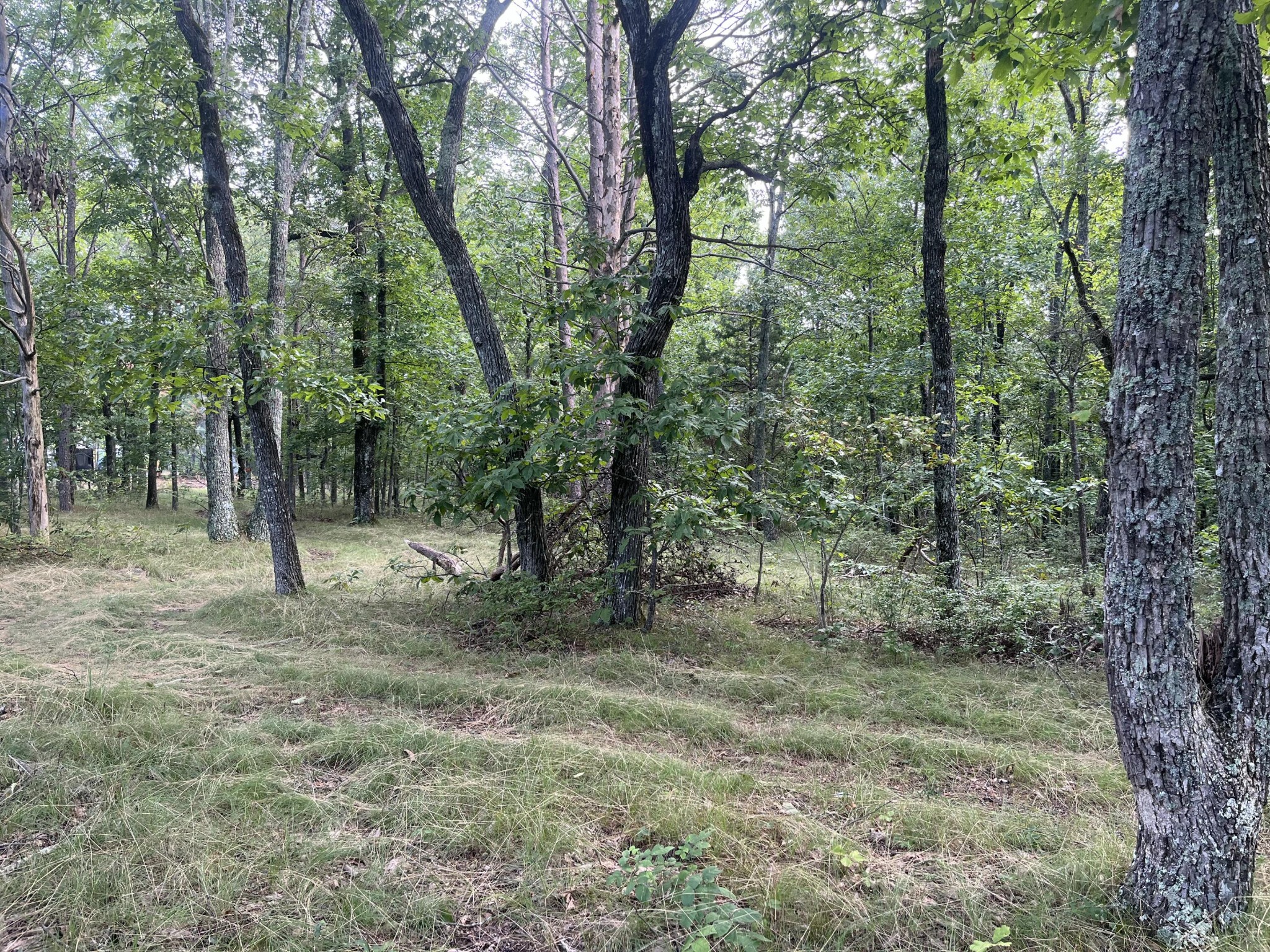 12 Green Road Graysville, TN 37338 - Photo 7 of 8