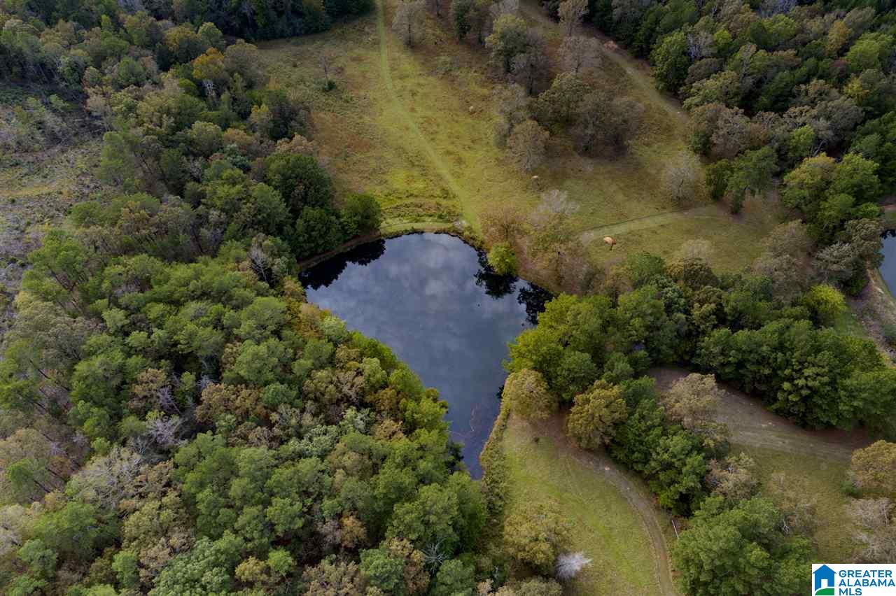 Serene Lake Road, Unit 8471 McCalla, AL 35111 - Photo 1 of 30