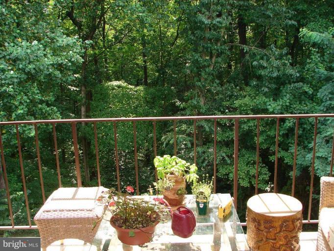 11605 Vantage Hill Road, Unit 21C Reston, VA 20190 - Photo 9 of 26 Deck - View from