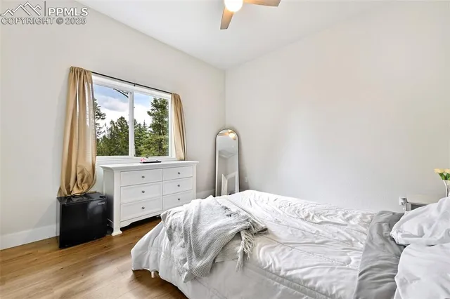 $535,000 | 29 Dusti Circle, Florissant, CO 80816