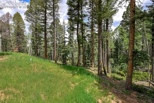 $535,000 | 29 Dusti Circle, Florissant, CO 80816