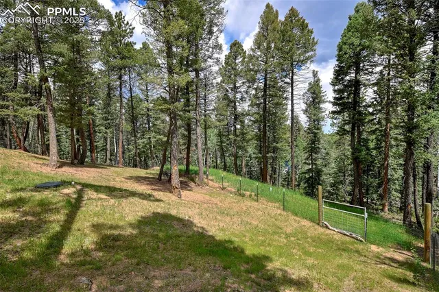 $535,000 | 29 Dusti Circle, Florissant, CO 80816