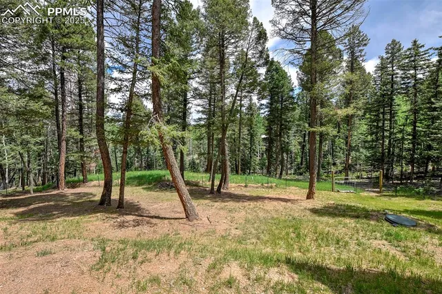 $535,000 | 29 Dusti Circle, Florissant, CO 80816