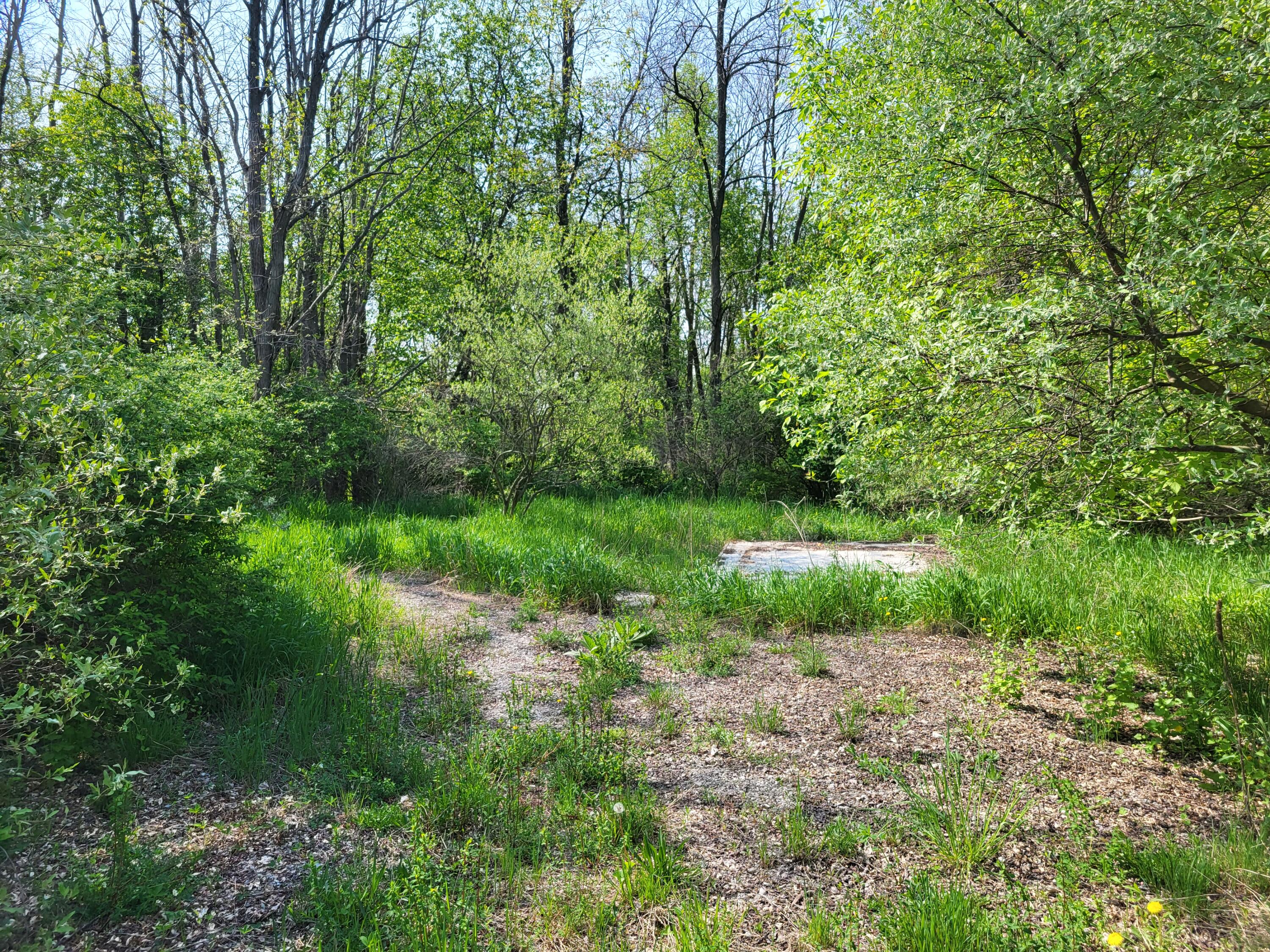 7241 Love Road Benzonia, MI 49616 - Photo 41 of 43 20240514_110322