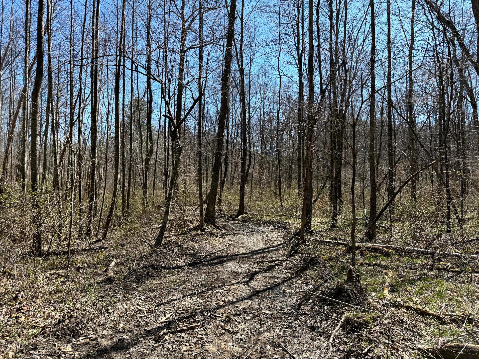 0 Dutch Ridge Road Southeast, Unit WOODS TURKEY RUN TRACT 5) New Lexington, OH 43764 - Photo 39 of 58 CT-39