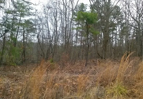 $116,399 | 0 Cork, Rome, GA 30161