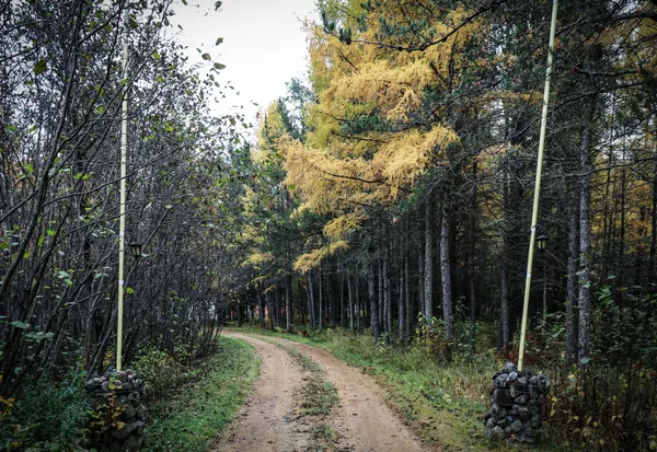 $80,000 | 7839 Stromberg Road, Embarrass, MN 55732