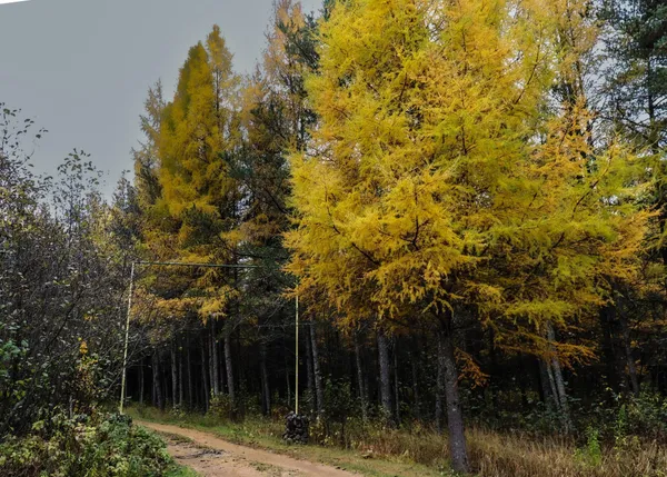 $80,000 | 7839 Stromberg Road, Embarrass, MN 55732