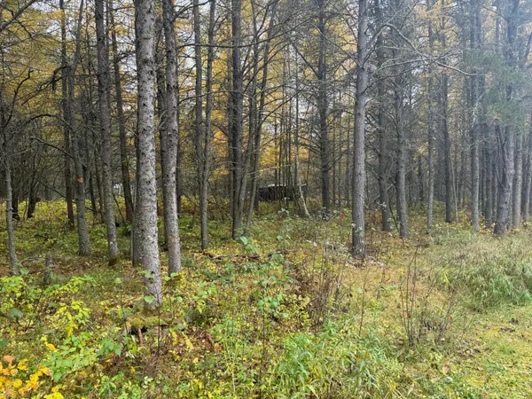 $80,000 | 7839 Stromberg Road, Embarrass, MN 55732