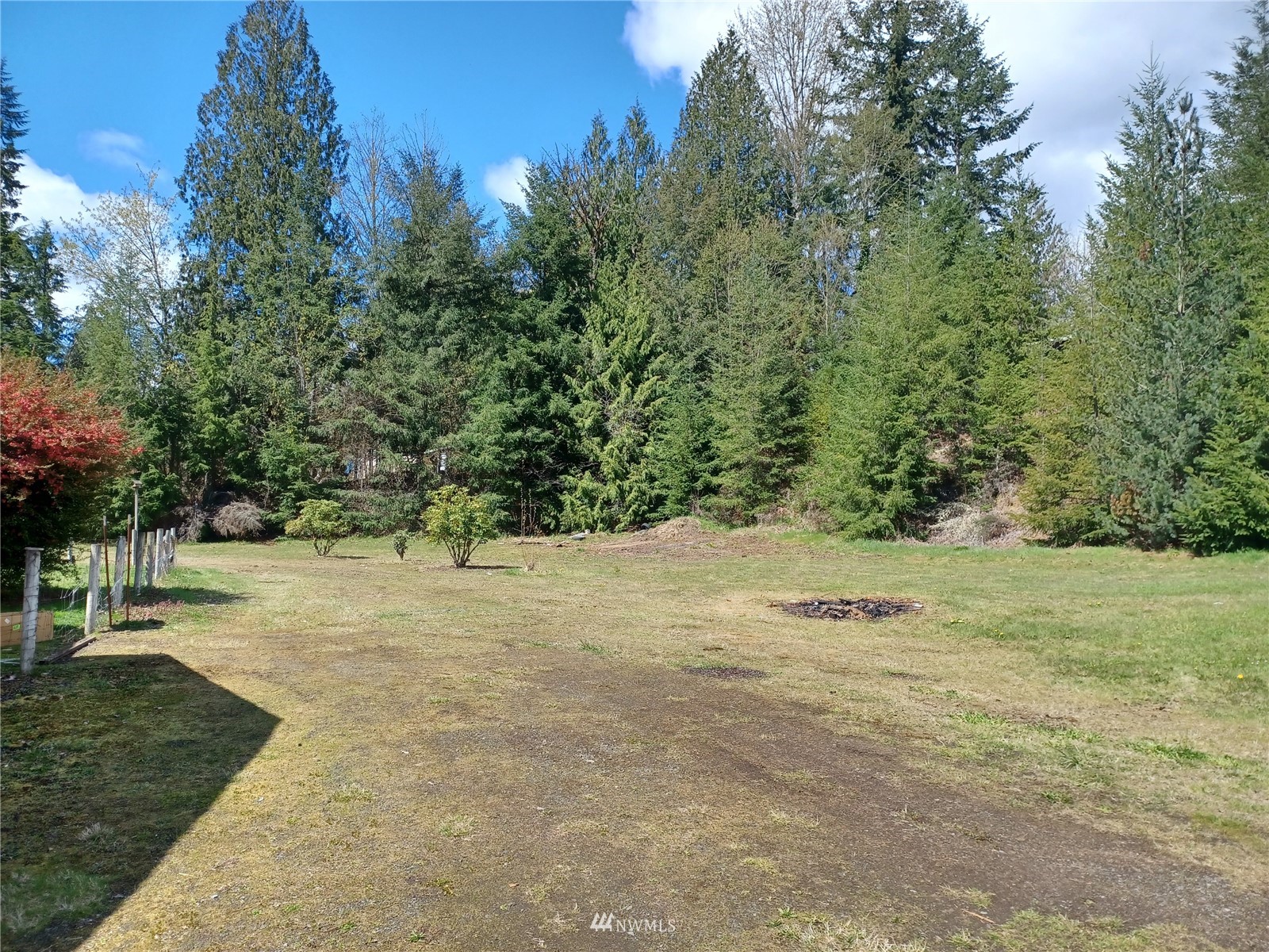 414 Peters Road Randle, WA 98377 - Photo 25 of 40 Gallery Image 25