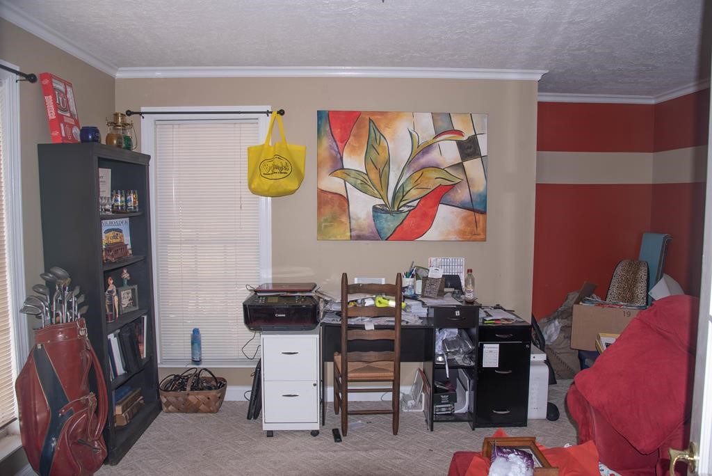 740 Central Shiloh Road Abbeville, SC 29620 - Photo 9 of 50 Gallery Image 9