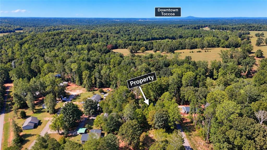0 Apache Martin, GA 30557 - Photo 5 of 9 Gallery Image 5
