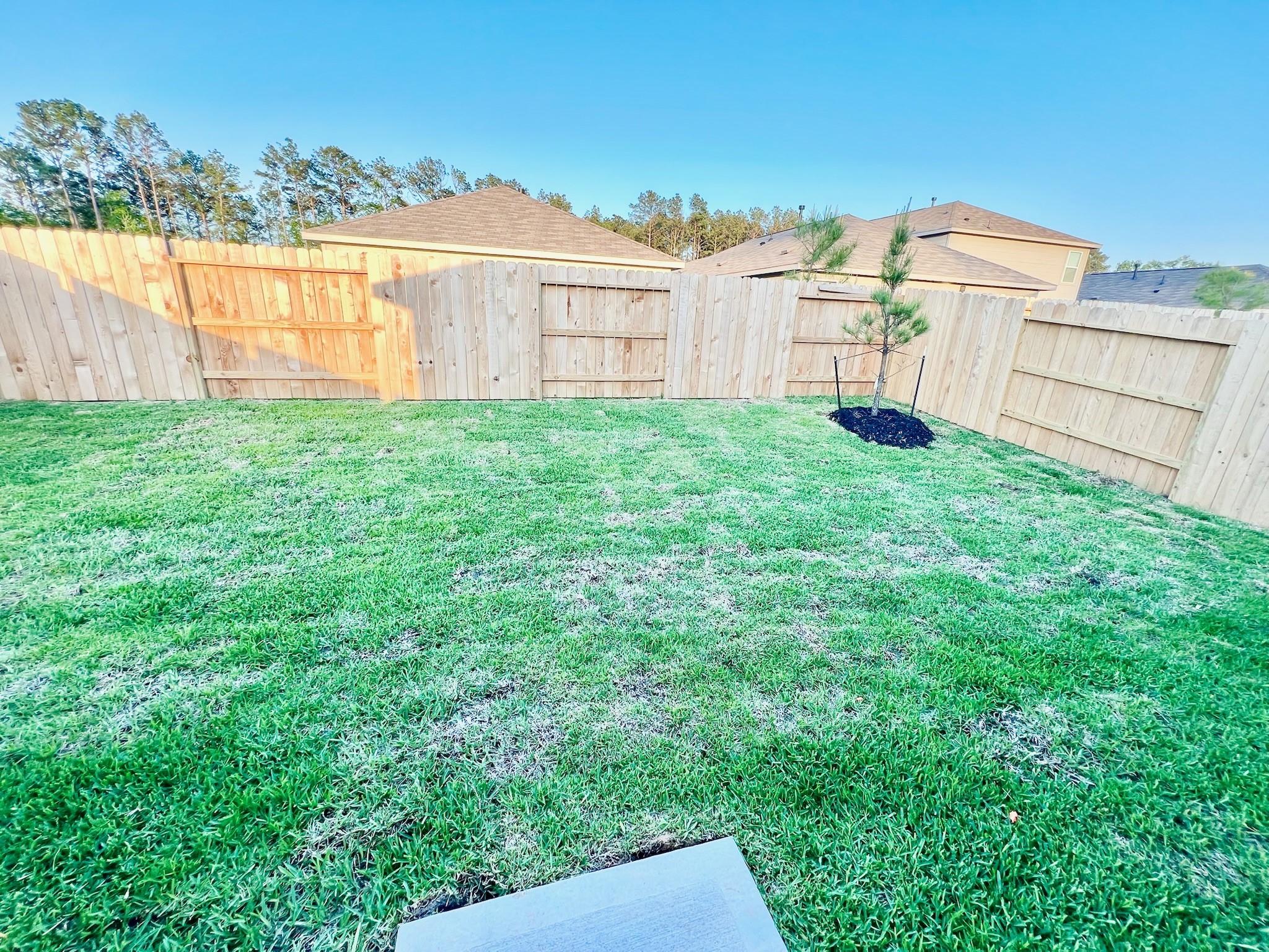 1359 Diamond Carnation Drive Conroe, TX 77301 - Photo 14 of 14 Backyard