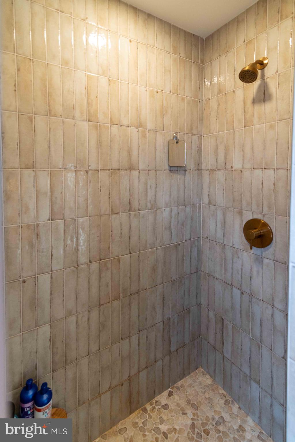 151 South Sandy Hill Road Coatesville, PA 19320 - Photo 31 of 91 Tile walk in shower