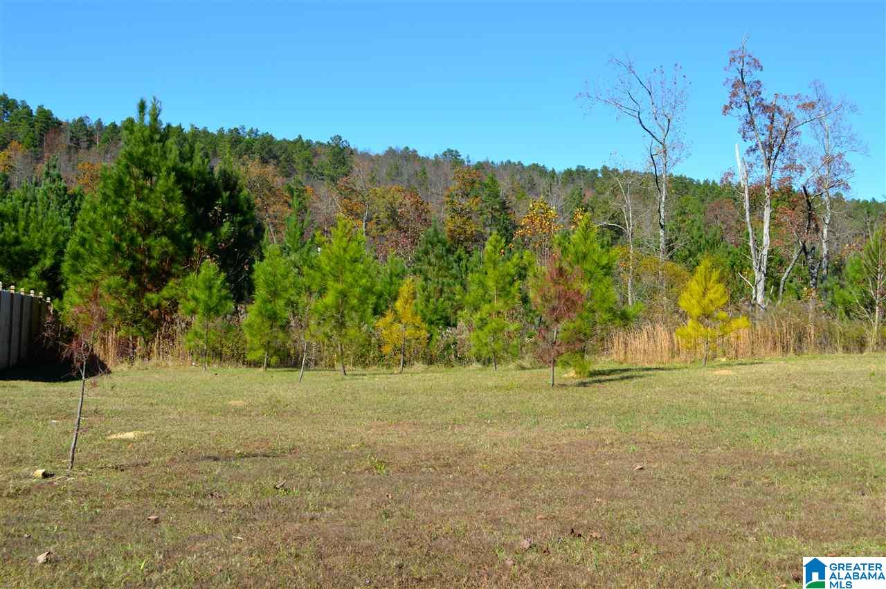 128 Chesser Loop Road Chelsea, AL 35043 - Photo 30 of 30 Gallery Image 30