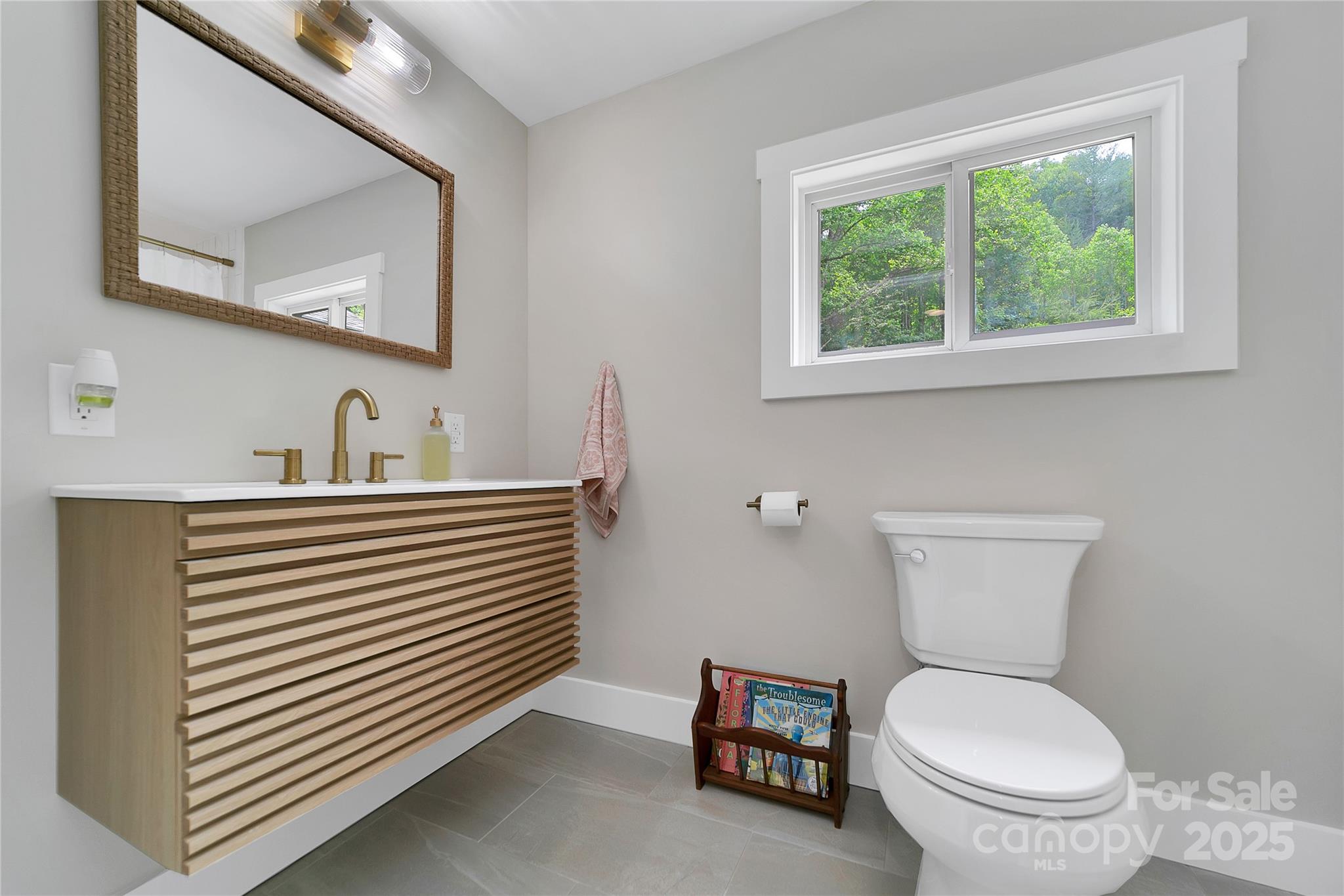 903 Middlefork Road Brevard, NC 28712 - Photo 22 of 45 a bathroom with a toilet a sink and a mirror