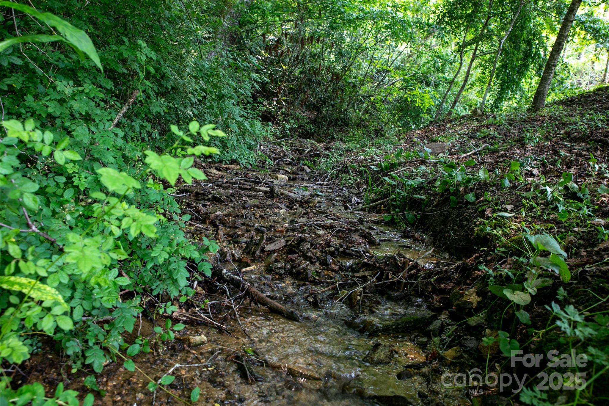 903 Middlefork Road Brevard, NC 28712 - Photo 36 of 45 a view of a lush green forest