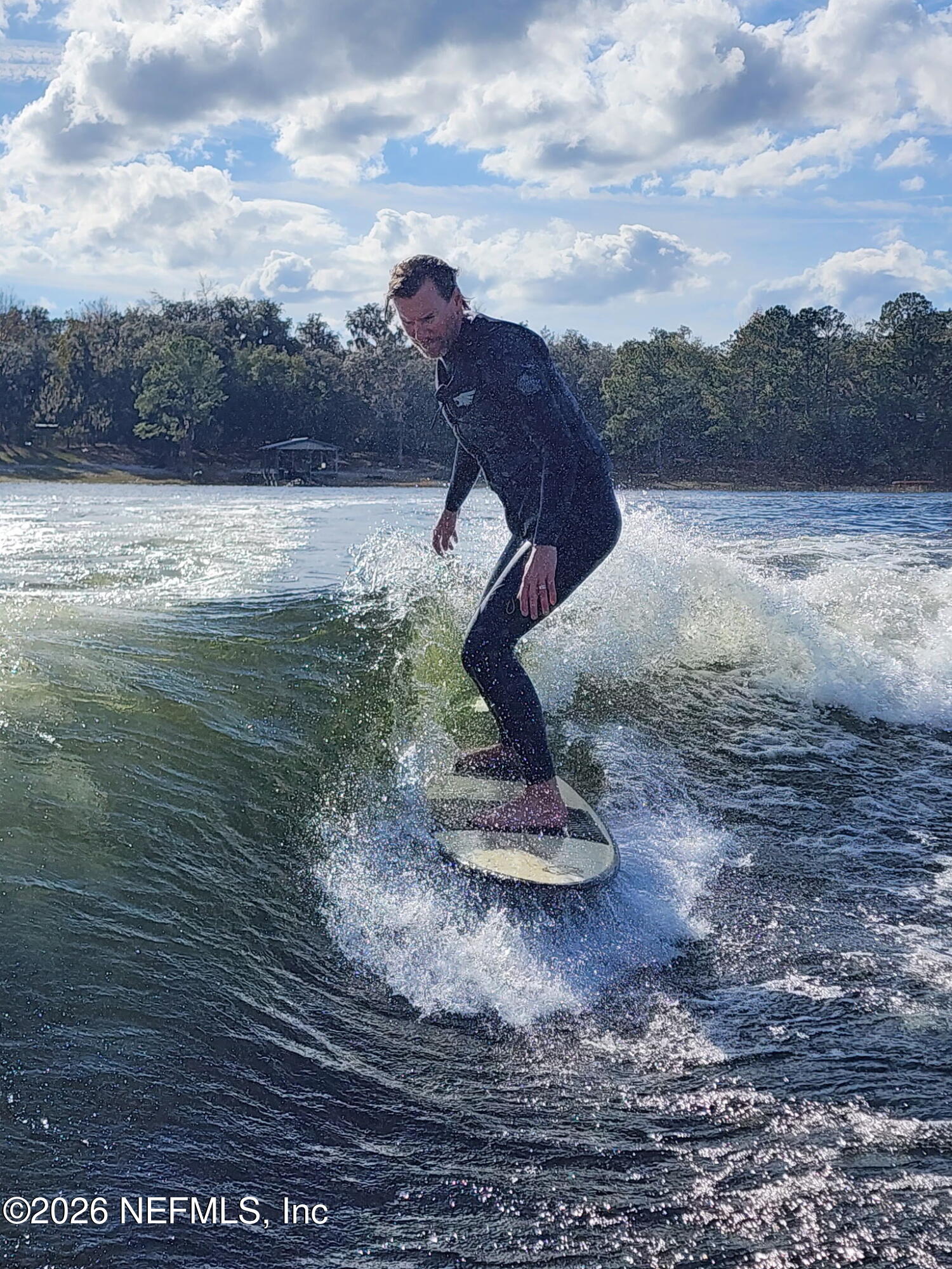 198 Lake Ray Road Hawthorne, FL 32640 - Photo 66 of 78 a view of a lake from a yard