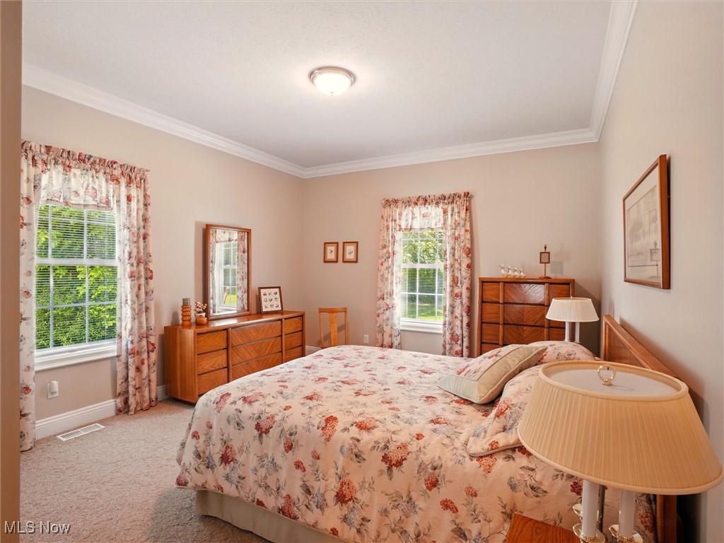 4440 Rutledge Avenue Ashtabula, OH 44004 - Photo 15 of 50 Bedroom with crown molding and light colored carpet