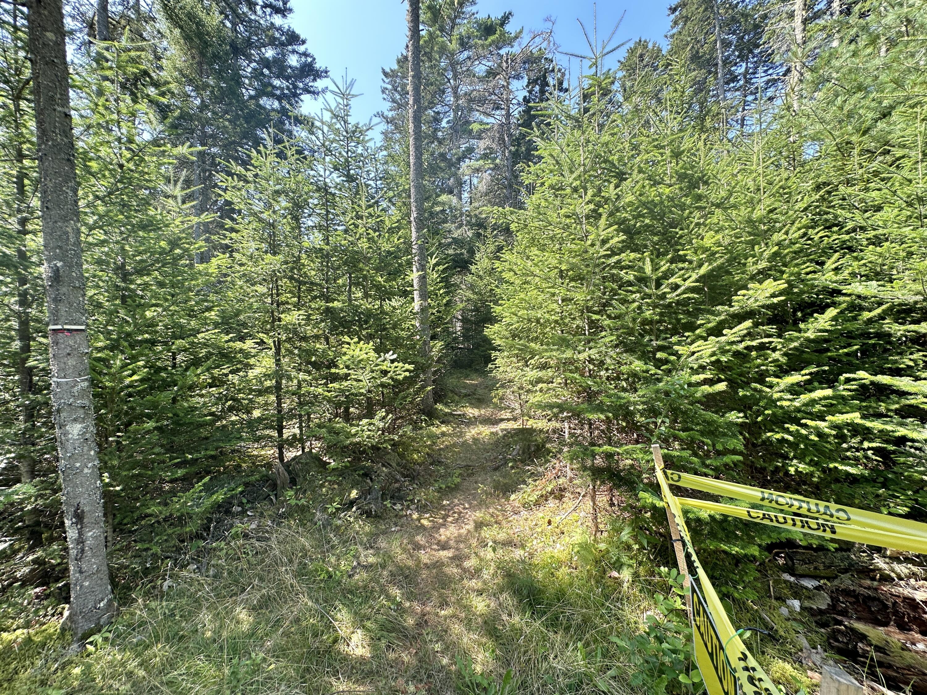 31 Fay Road Spruce Head, ME 04859 - Photo 23 of 77 IMG_1053