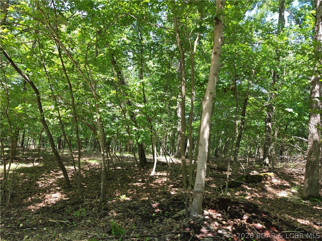 Tbd Cooper Road Gravois Mills, MO 65037 - Photo 2 of 7