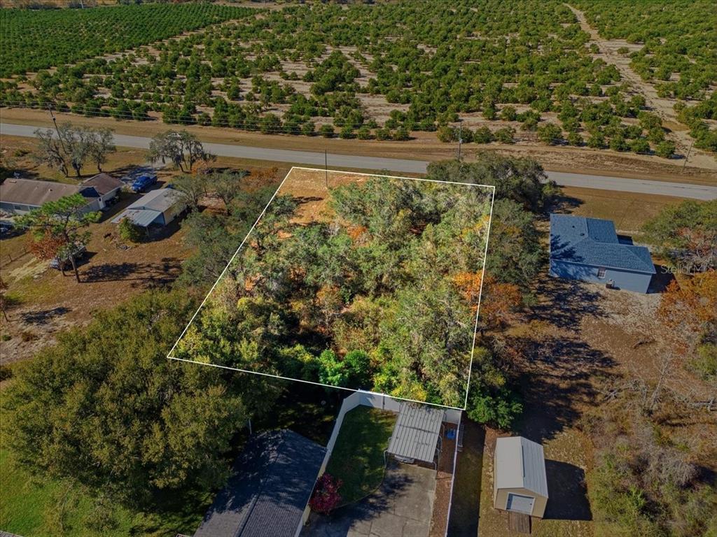 1830 Golfview Cutoff Road Babson Park, FL 33827 - Photo 3 of 16 a view of a garden