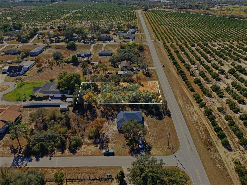 1830 Golfview Cutoff Road Babson Park, FL 33827 - Photo 4 of 16 a view of a garden