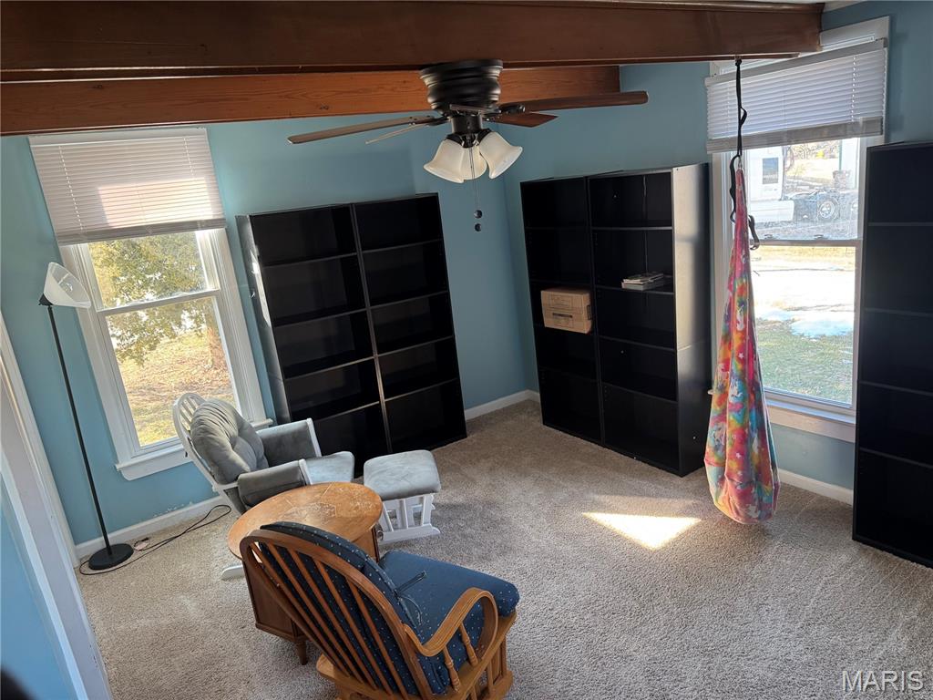 110 Sanderson Elsberry, MO 63343 - Photo 8 of 24