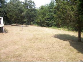 102 ABC Road Limestone, TN 37681 - Photo 12 of 15 BACK YARD