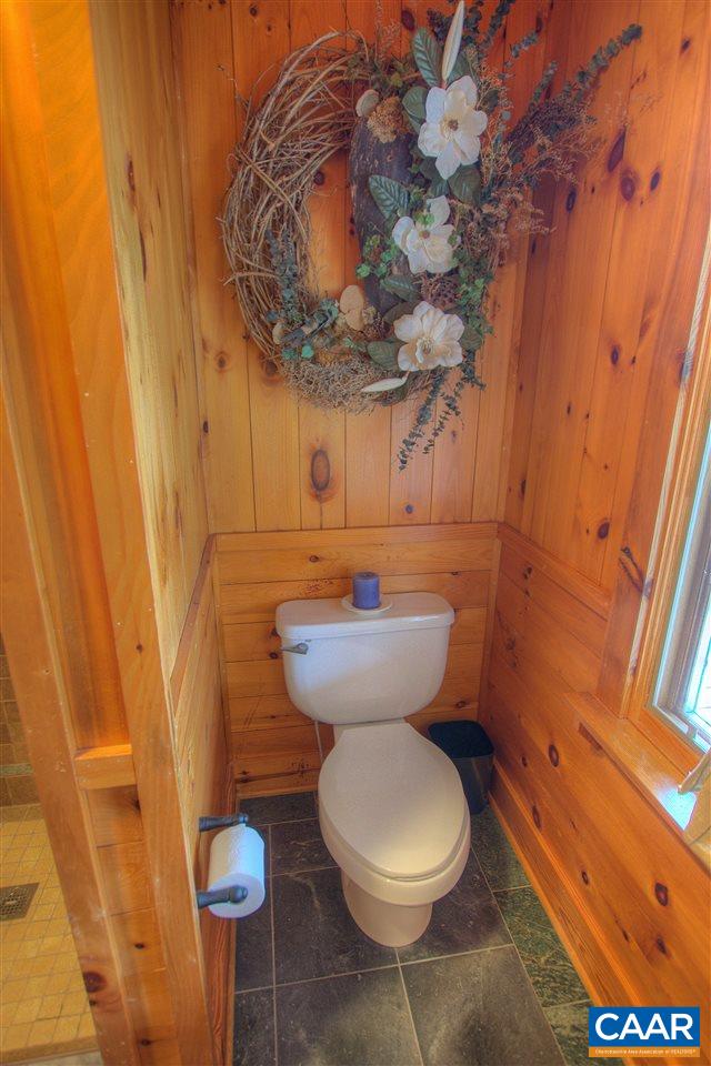 264 Twin Ridge Lane Afton, VA 22920 - Photo 11 of 49 a bathroom with a toilet and a sink