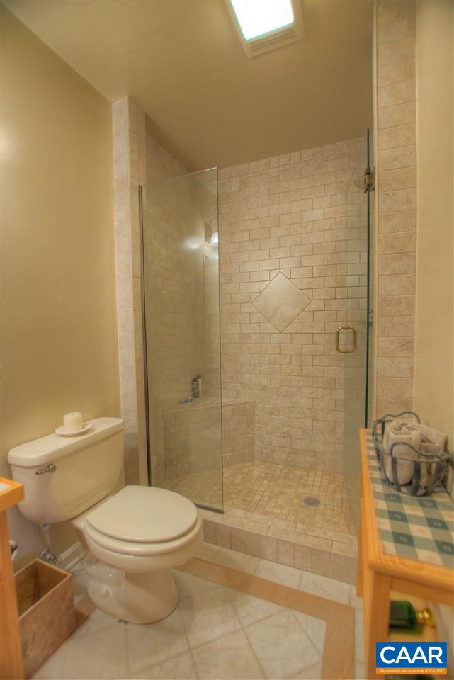 264 Twin Ridge Lane Afton, VA 22920 - Photo 20 of 49 a bathroom with a toilet and shower