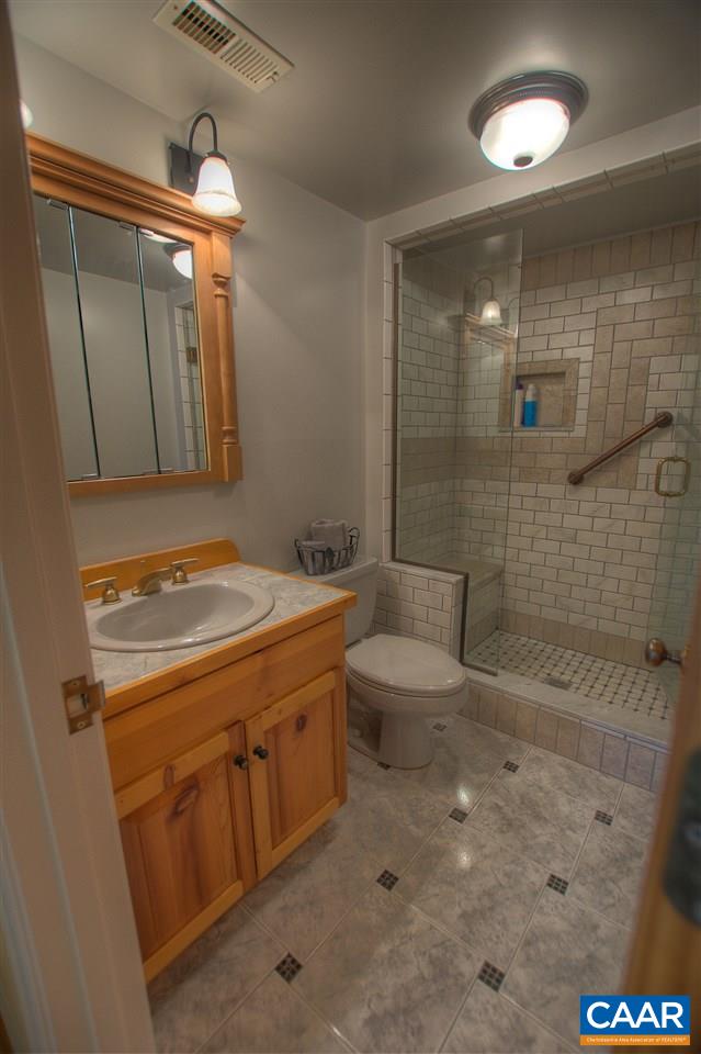 264 Twin Ridge Lane Afton, VA 22920 - Photo 23 of 49 a bathroom with a sink a toilet and shower
