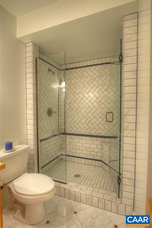264 Twin Ridge Lane Afton, VA 22920 - Photo 28 of 49 a bathroom with a toilet and shower