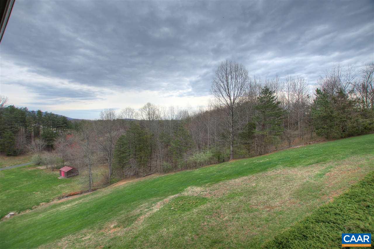 264 Twin Ridge Lane Afton, VA 22920 - Photo 42 of 49 a view of a big yard with potted plants and large trees
