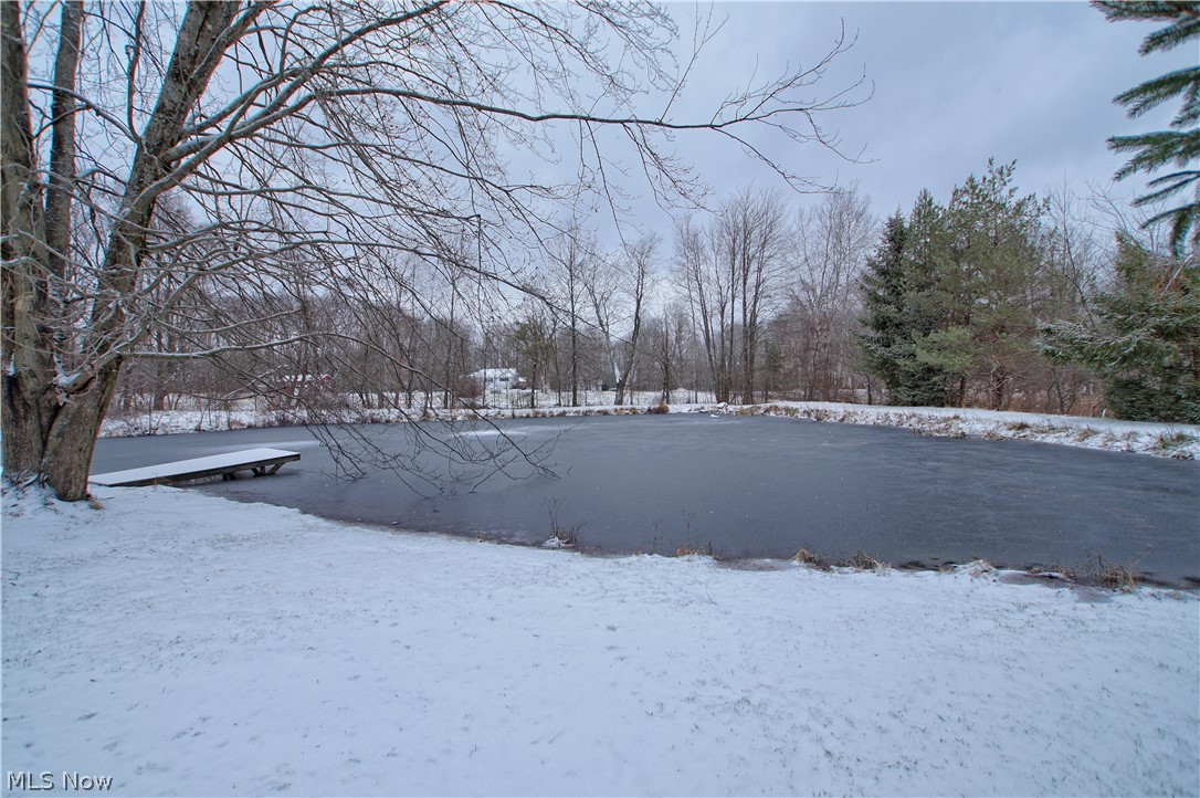 4949 Highway 534 Rome, OH 44085 - Photo 3 of 22 Gallery Image 3