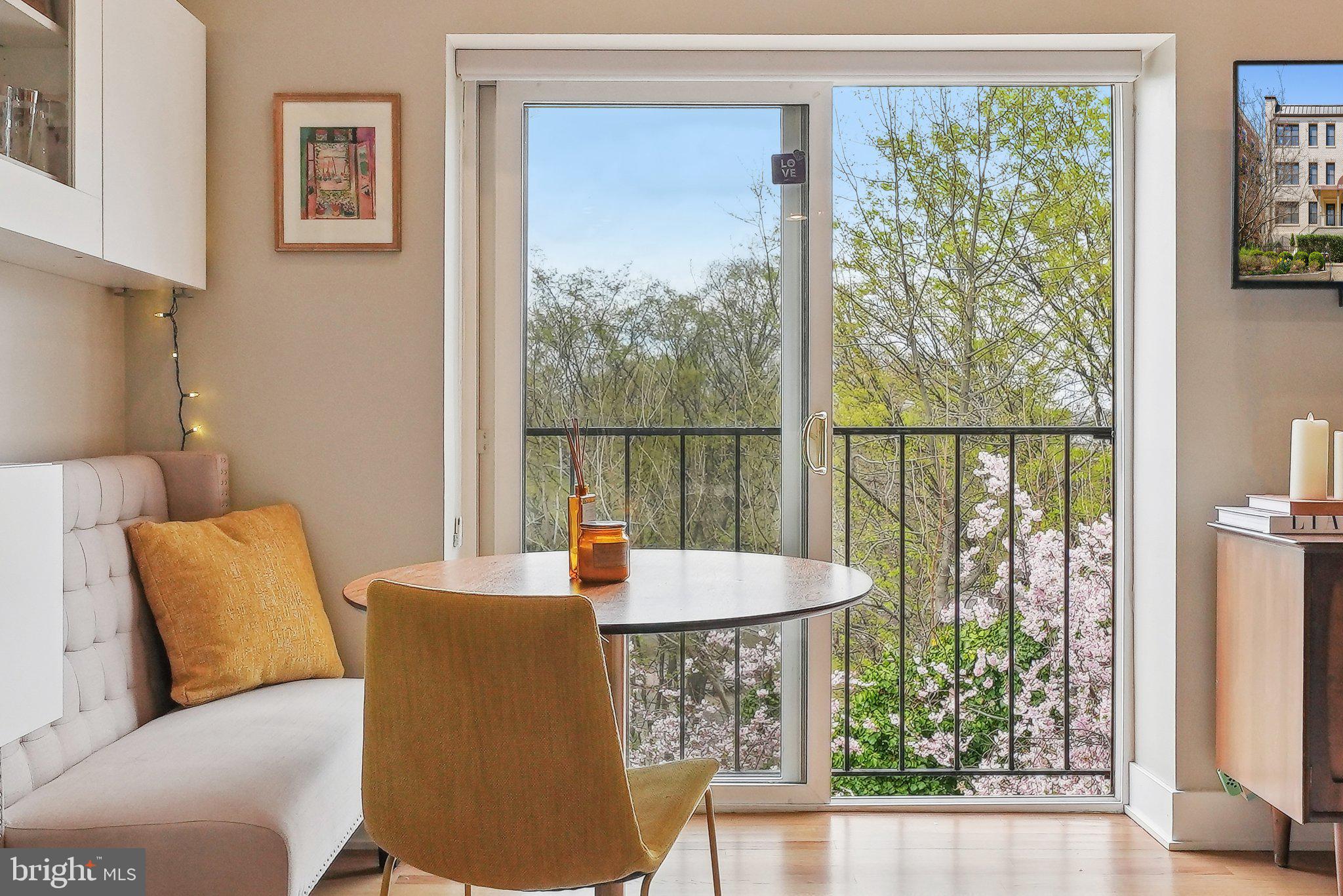 2630 Adams Mill Road Northwest, Unit 303 Washington, DC 20009 - Photo 5 of 18 a living room with furniture and a window