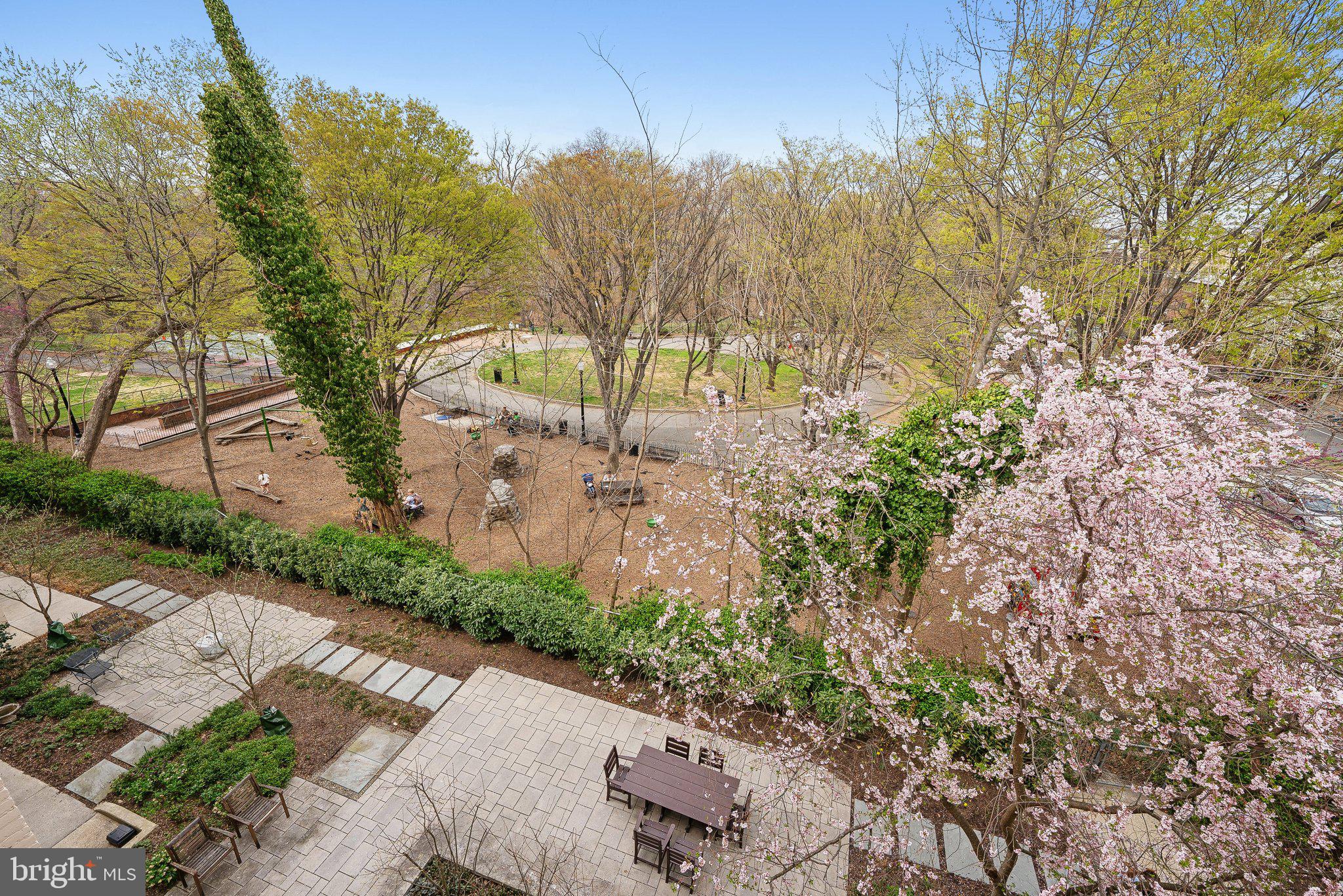 2630 Adams Mill Road Northwest, Unit 303 Washington, DC 20009 - Photo 6 of 18 a view of a yard with iron fence